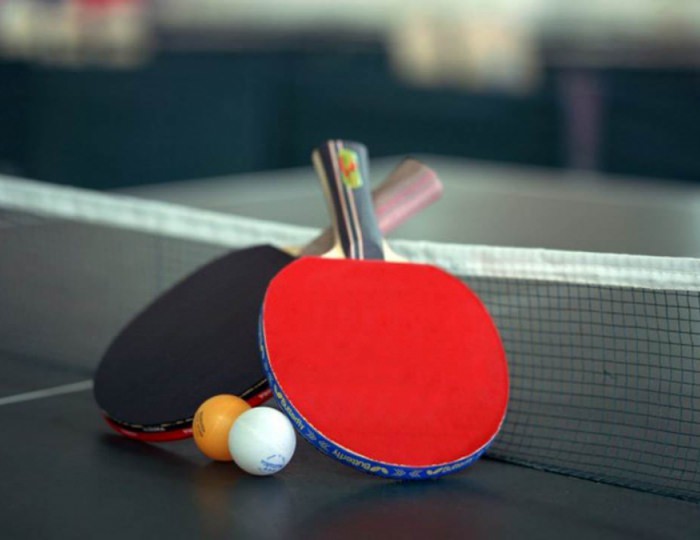 Настольный теннис - Санаторий «Нарочанский берег»