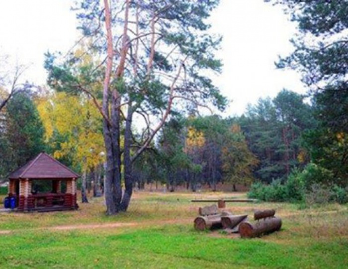 Площадка для шашлыков - Санаторий «Нарочанский берег»